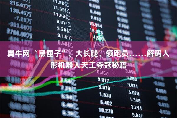 翼牛网 “黑匣子”、大长腿、领跑员……解码人形机器人天工夺冠秘籍