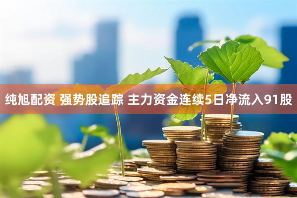 纯旭配资 强势股追踪 主力资金连续5日净流入91股