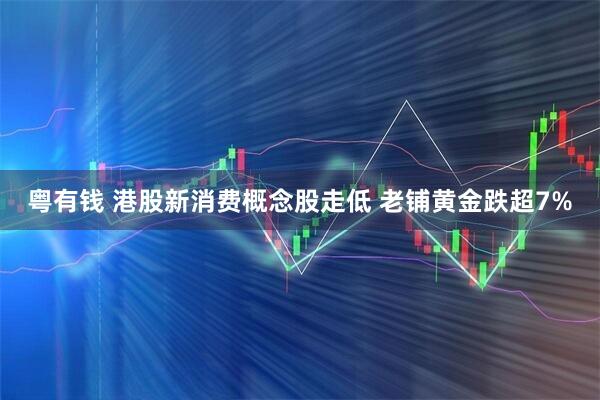 粤有钱 港股新消费概念股走低 老铺黄金跌超7%