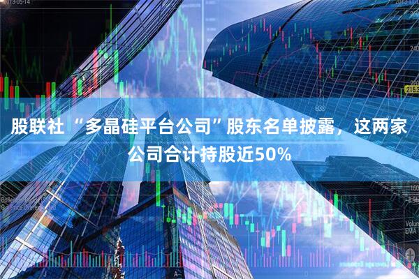 股联社 “多晶硅平台公司”股东名单披露，这两家公司合计持股近50%