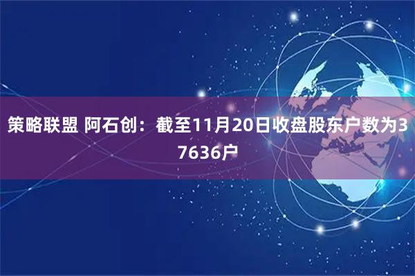策略联盟 阿石创：截至11月20日收盘股东户数为37636户