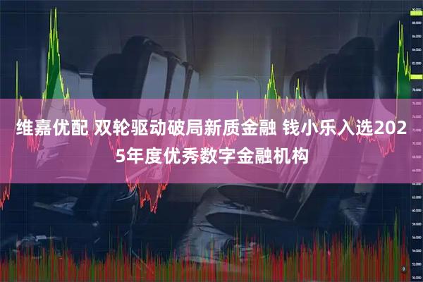 维嘉优配 双轮驱动破局新质金融 钱小乐入选2025年度优秀数字金融机构