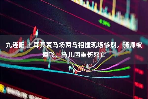 九连阳 土耳其赛马场两马相撞现场惨烈，骑师被撞飞，马儿因重伤死亡